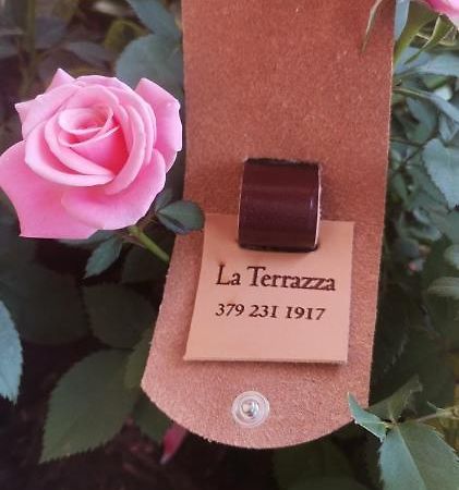 B&B La Terrazza Домодосола Екстериор снимка